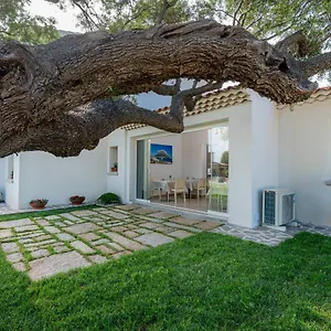 Residenza L'alzoni Maison d'hôtes